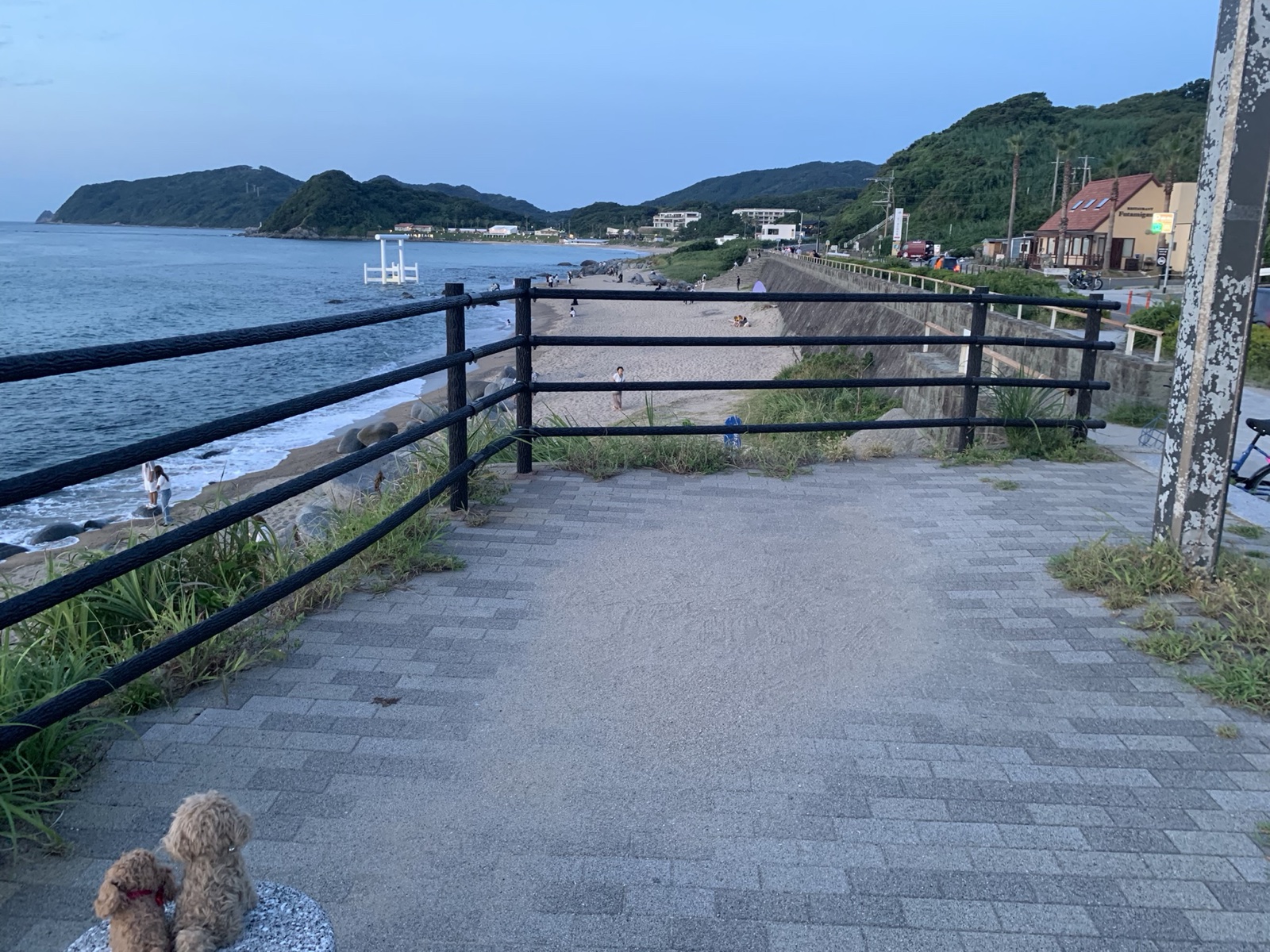 モカ2体が糸島の海岸を見つめる