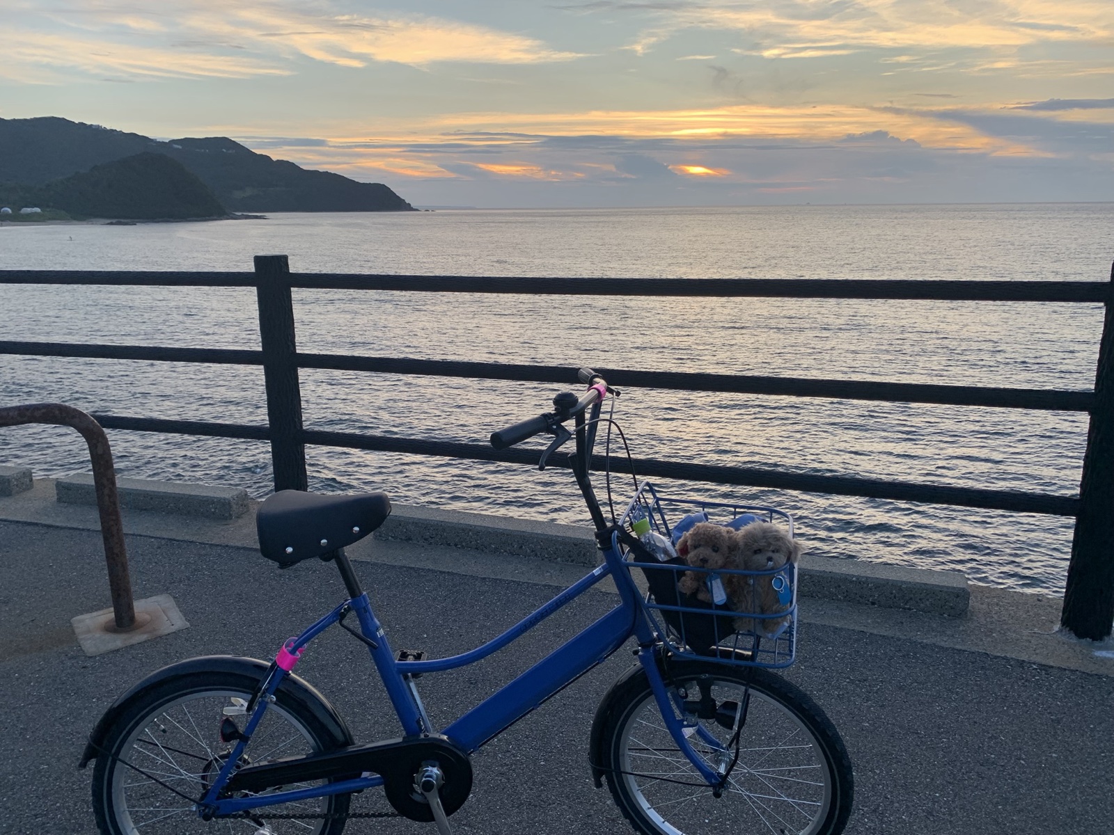 自転車のカゴにモカ2体