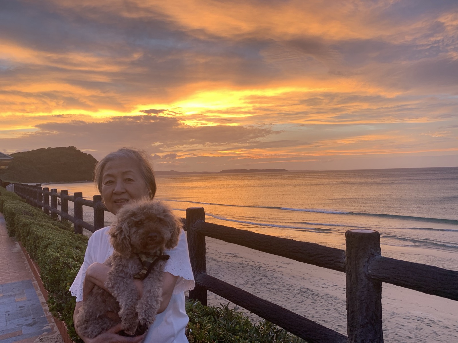 お母さんと生前のモカ・燃える夕焼け